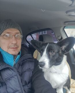 Ромарио
